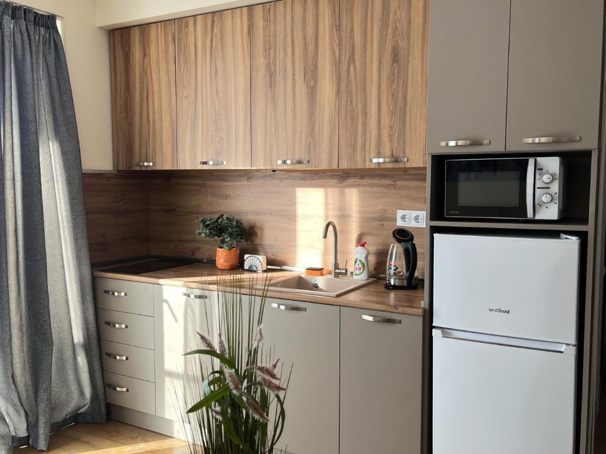 Delux Apartment For 6 Guest, New グダウリ エクステリア 写真
